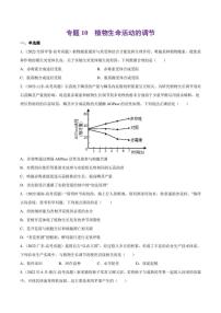 （2018-2022）五年高考生物真题分类汇编 专题10 植物生命活动的调节（学生版+解析版）