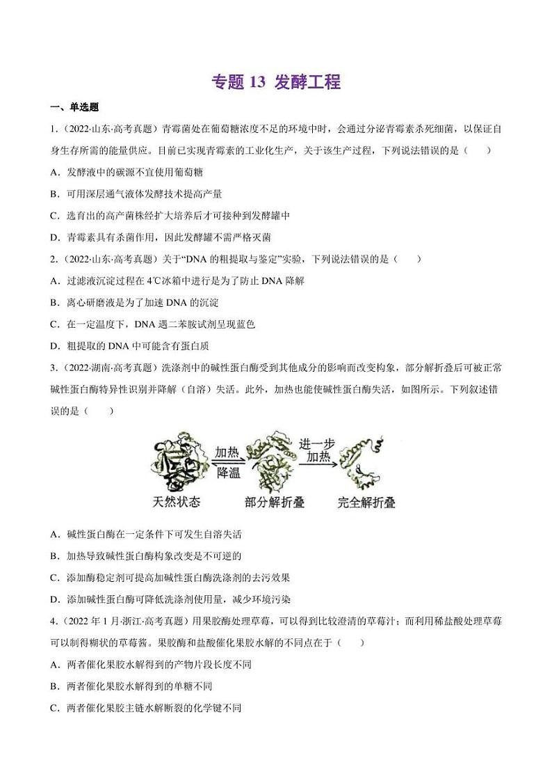 （2018-2022）五年高考生物真题分类汇编 专题13 发酵工程（学生版+解析版）第1页