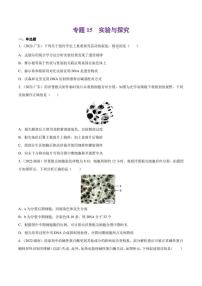 （2018-2022）五年高考生物真题分类汇编 专题15 实验与探究（学生版+解析版）