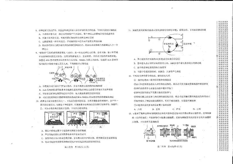 南阳市2022年秋期高中二年级期中质量评估生物试题第2页