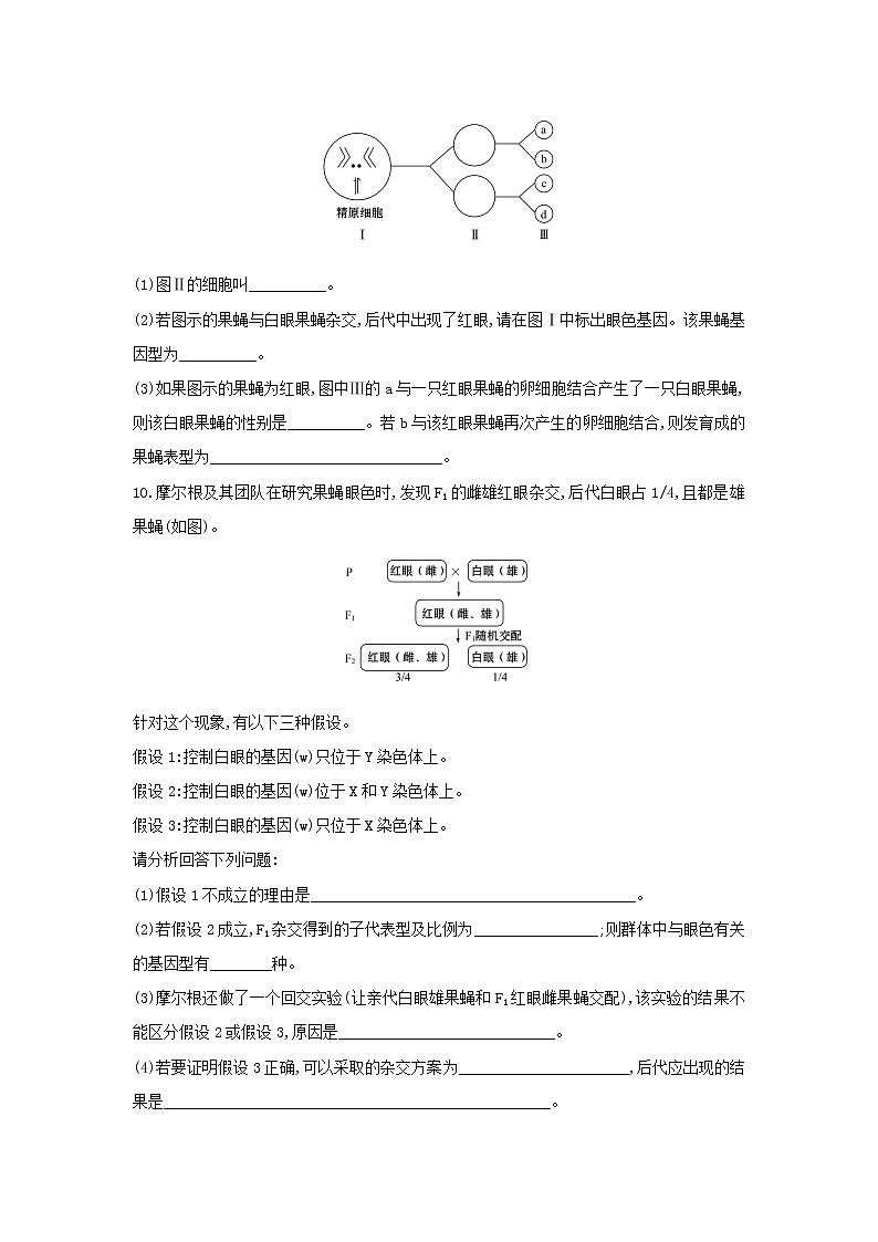 新教材高中生物暑假作业第4天基因在染色体上含解析第3页