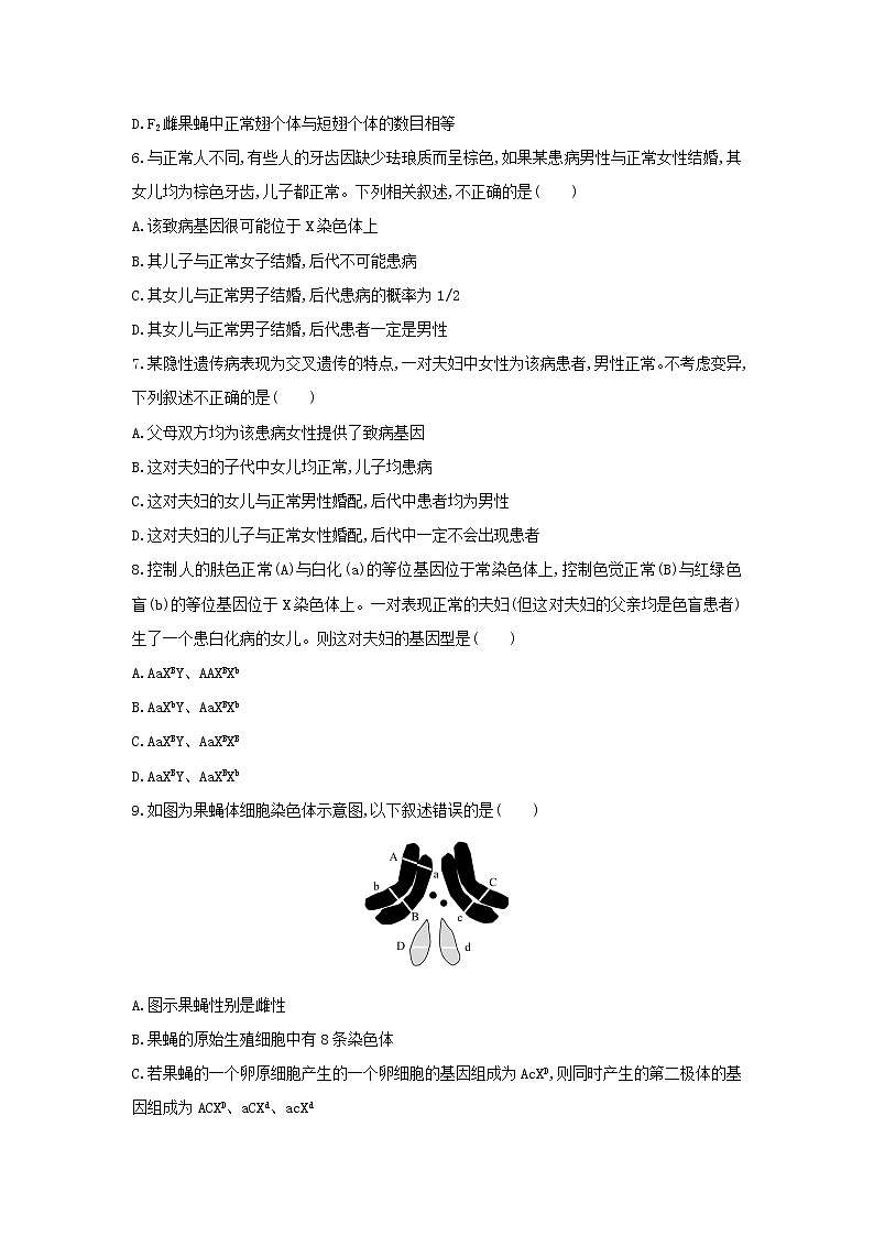 新教材高中生物暑假作业第5天伴性遗传含解析第2页