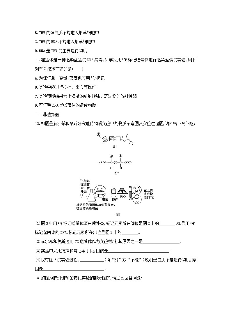 新教材高中生物暑假作业第6天DNA是主要的遗传物质含解析第3页