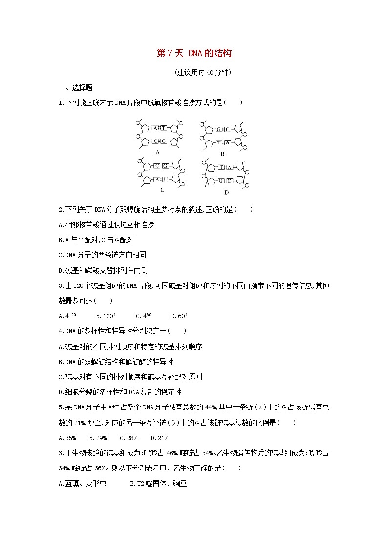 新教材高中生物暑假作业第7天DNA的结构含解析第1页