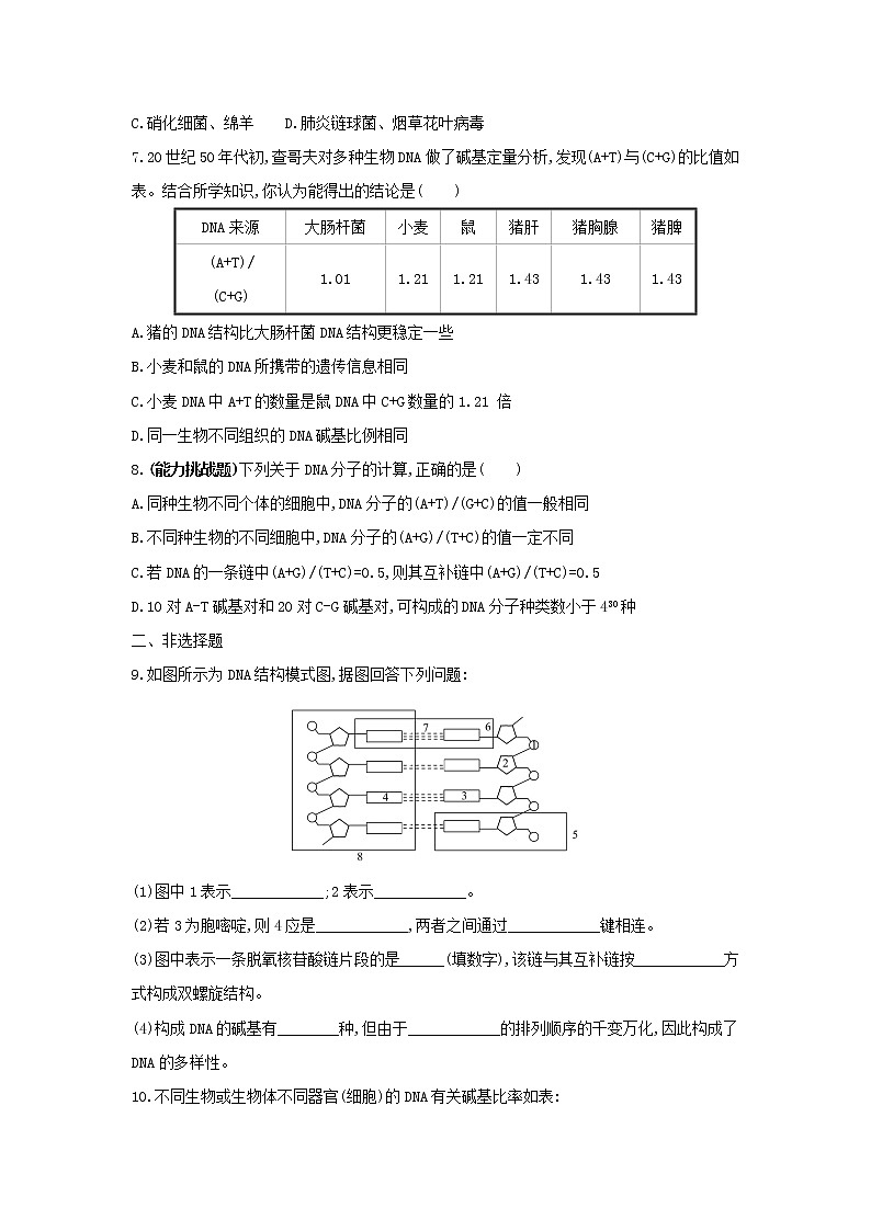 新教材高中生物暑假作业第7天DNA的结构含解析第2页