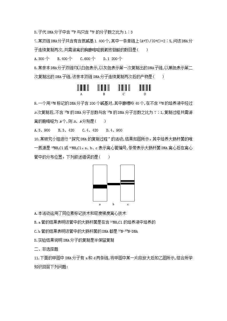 新教材高中生物暑假作业第8天DNA的复制含解析第2页