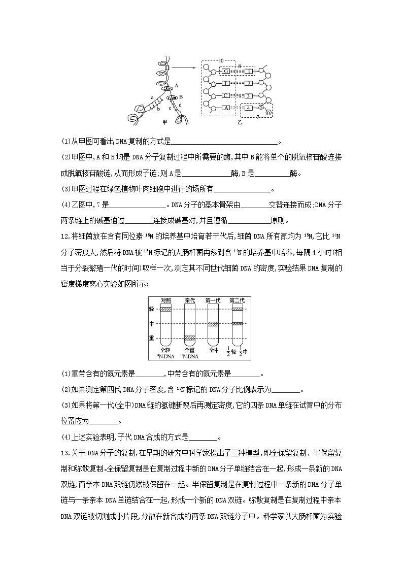 新教材高中生物暑假作业第8天DNA的复制含解析第3页