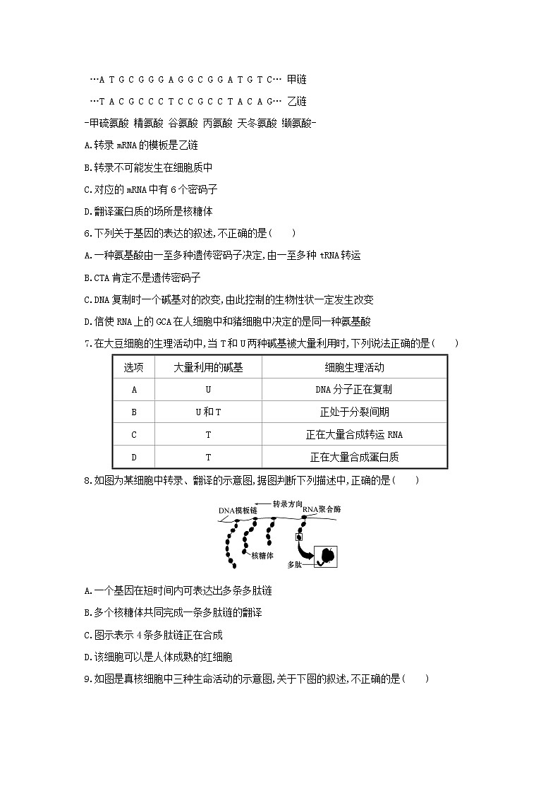 新教材高中生物暑假作业第11天基因指导蛋白质的合成含解析02