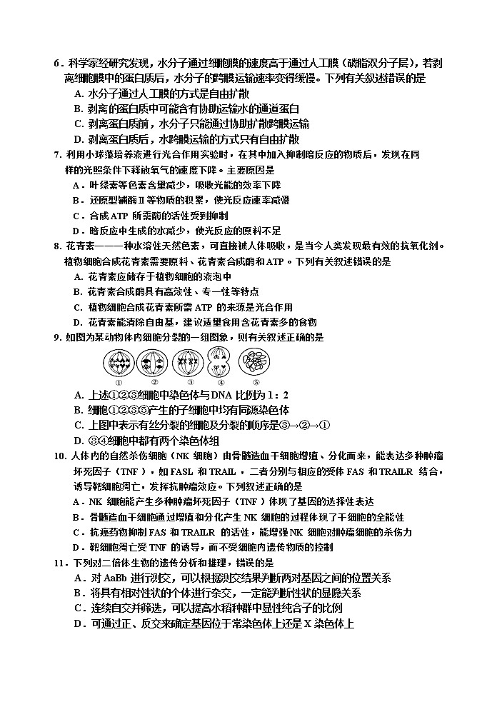 2022届吉林省吉林市高三下学期第二次调研考试生物含解析02