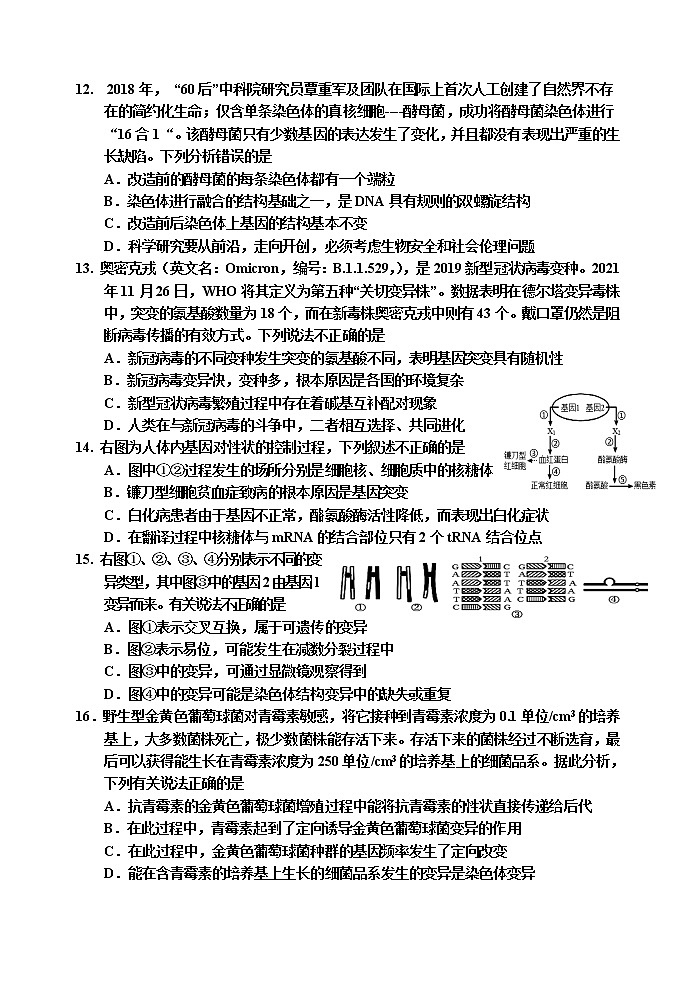 2022届吉林省吉林市高三下学期第二次调研考试生物含解析03