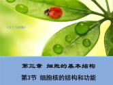 高中生物必修一 第3章《本章综合与测试》优质教学课件