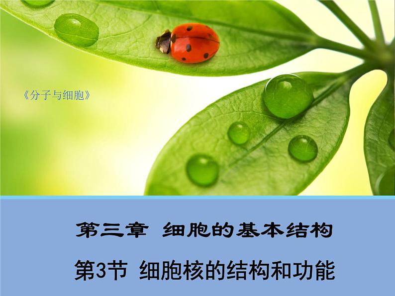 高中生物必修一 第3章《本章综合与测试》优质教学课件第1页