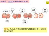 高中生物必修一 第3章《本章综合与测试》优质教学课件