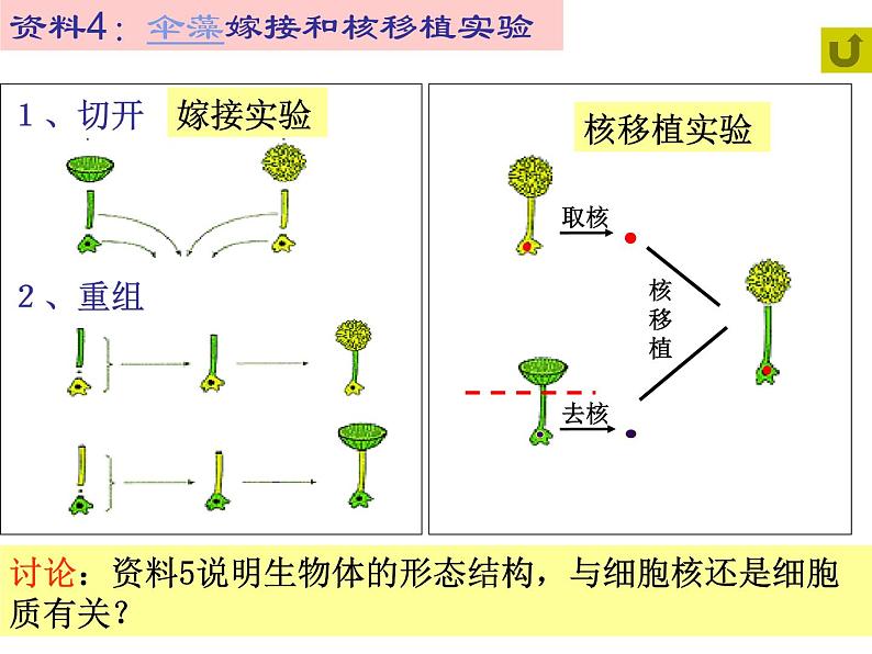 高中生物必修一 第3章《本章综合与测试》优质教学课件第7页