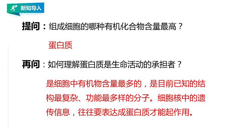 高中生物必修一 2.4蛋白质是生命活动的主要承担者教学课件第2页