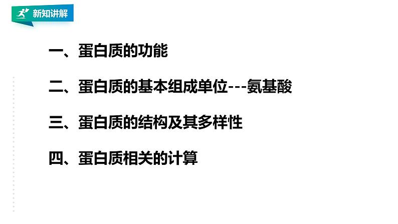 高中生物必修一 2.4蛋白质是生命活动的主要承担者教学课件第3页