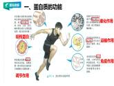 高中生物必修一 2.4蛋白质是生命活动的主要承担者教学课件
