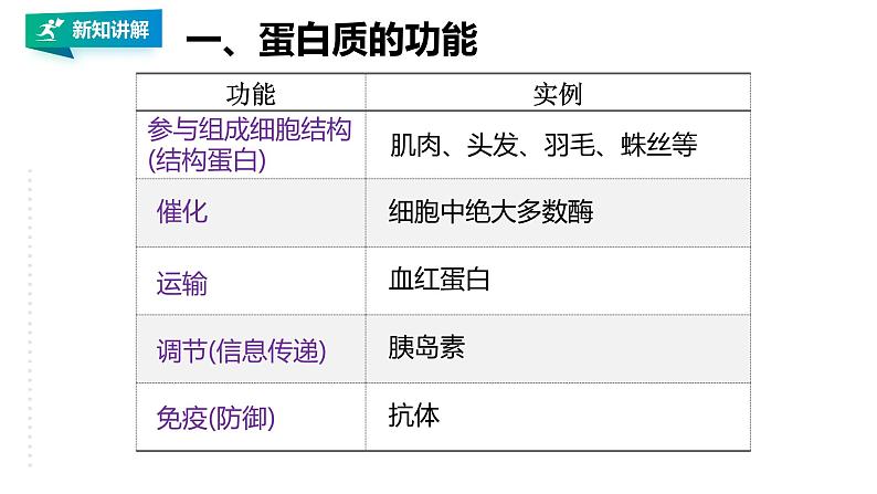 高中生物必修一 2.4蛋白质是生命活动的主要承担者教学课件第5页