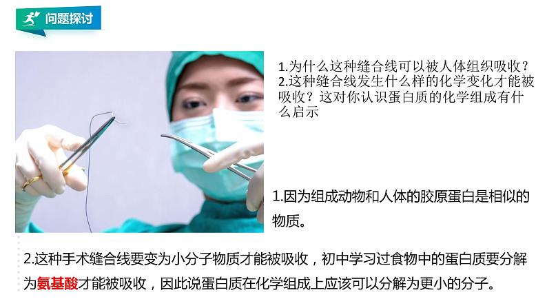 高中生物必修一 2.4蛋白质是生命活动的主要承担者教学课件第6页