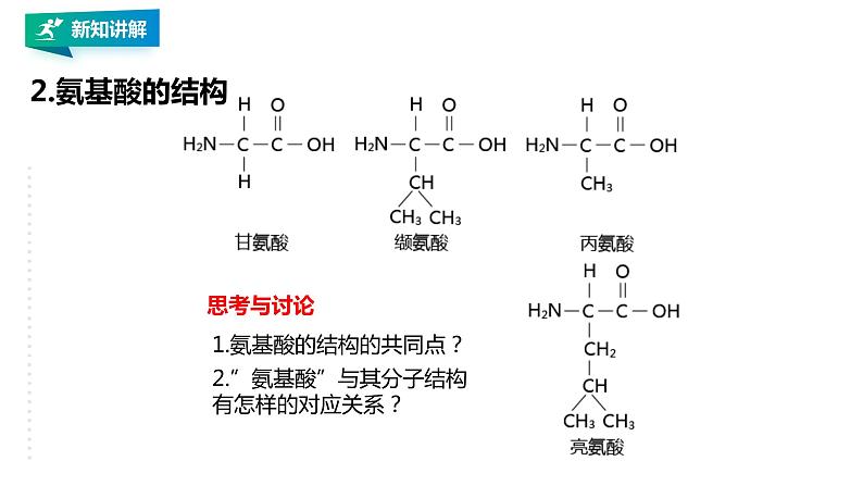 高中生物必修一 2.4蛋白质是生命活动的主要承担者教学课件第8页