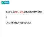 高中生物必修一 2.5 核酸是遗传信息的携带者教学课件