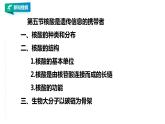 高中生物必修一 2.5 核酸是遗传信息的携带者教学课件