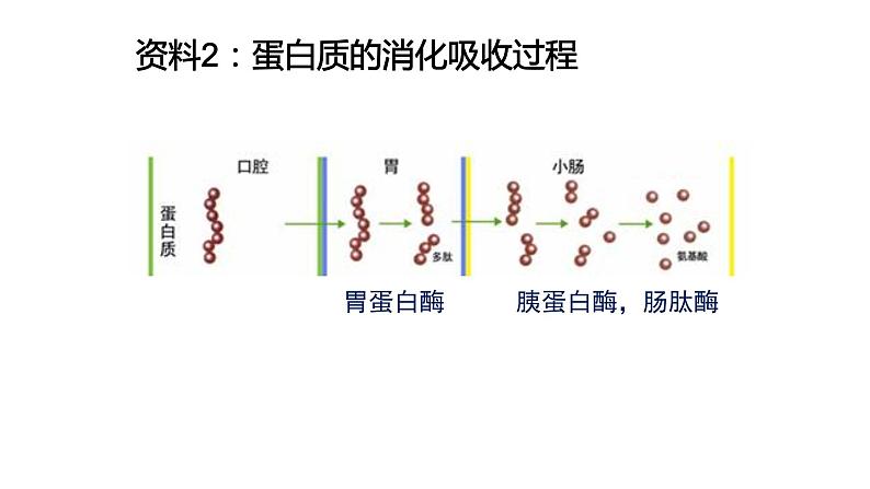 高中生物必修一 第2章《本章综合与测试》多媒体精品课件第7页