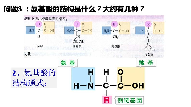 高中生物必修一 第2章《本章综合与测试》多媒体精品课件第8页