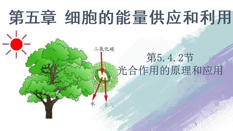 高中生物必修一 5.4.2 光合作用的原理和应用教学课件第1页