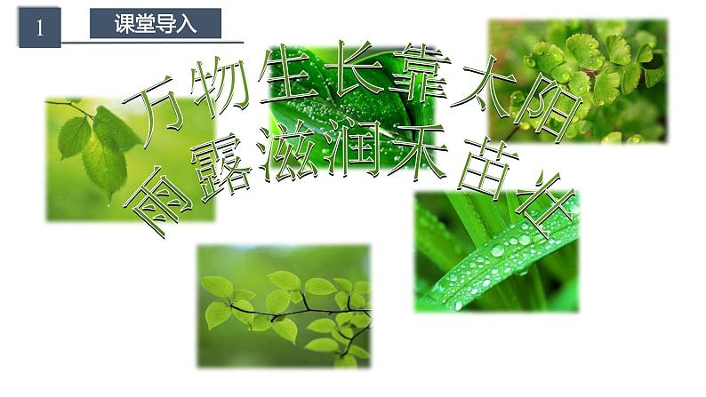 高中生物必修一 5.4.2 光合作用的原理和应用教学课件第3页