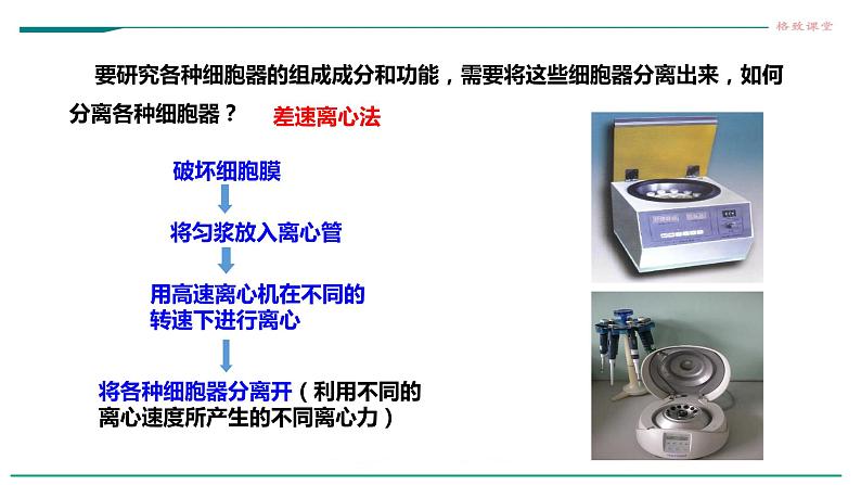 高中生物必修一 3.2细胞器之间的分工合作（课时1）教学课件第4页