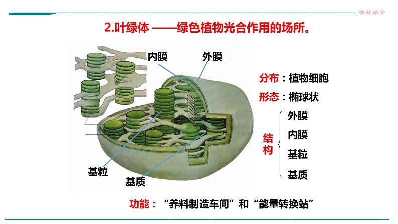 高中生物必修一 3.2细胞器之间的分工合作（课时1）教学课件第6页