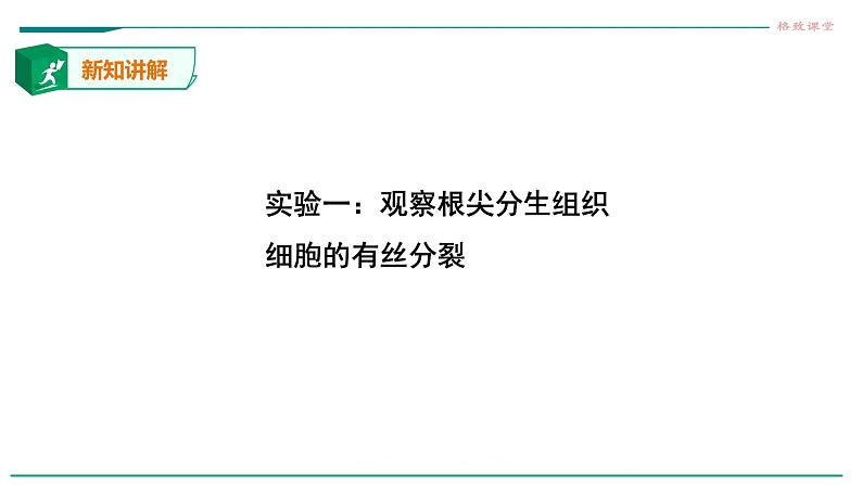 高中生物必修一 6.1细胞的增殖（第二课时）教学课件第5页