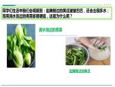 高中生物必修一 第四章第一节被动运输教学课件