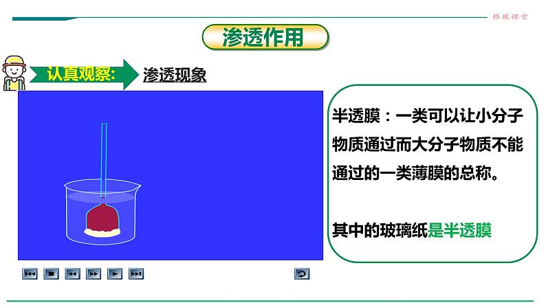 高中生物必修一 第四章第一节被动运输教学课件第5页