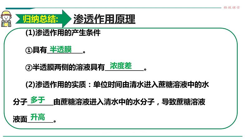 高中生物必修一 第四章第一节被动运输教学课件第7页