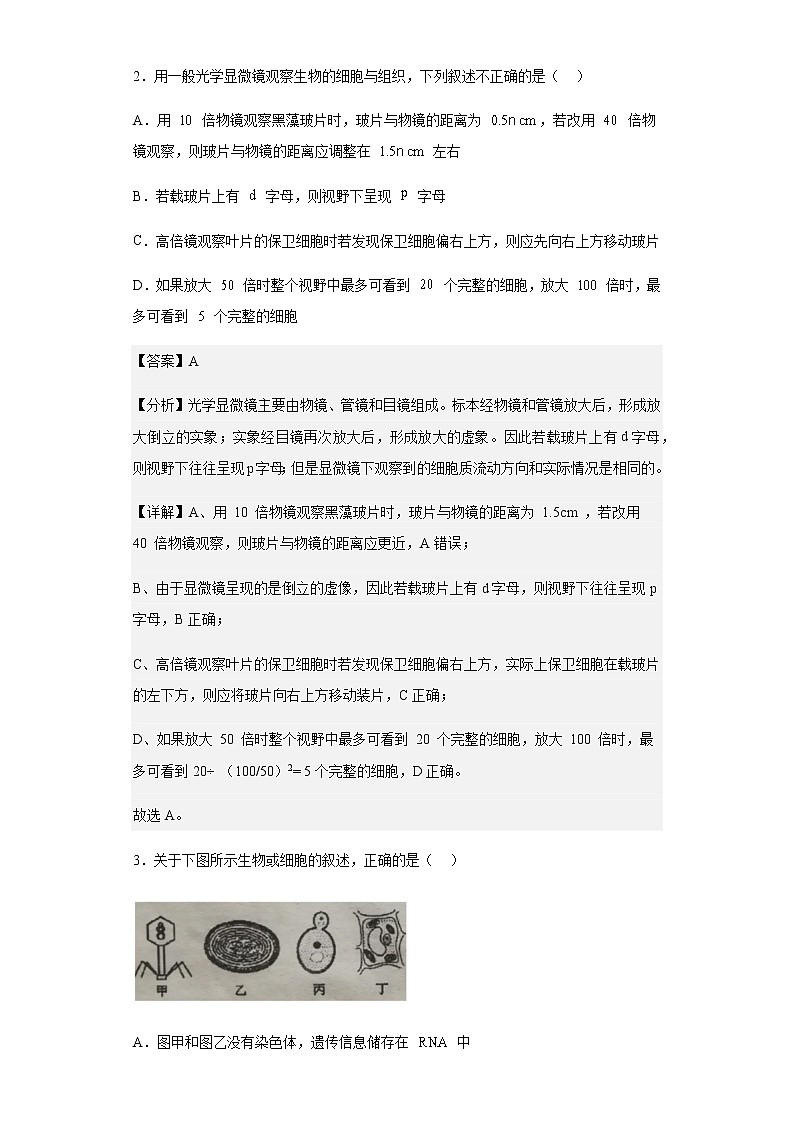 2019-2020学年天津河西区天津市新华中学高一上学期期中生物试题含解析第2页