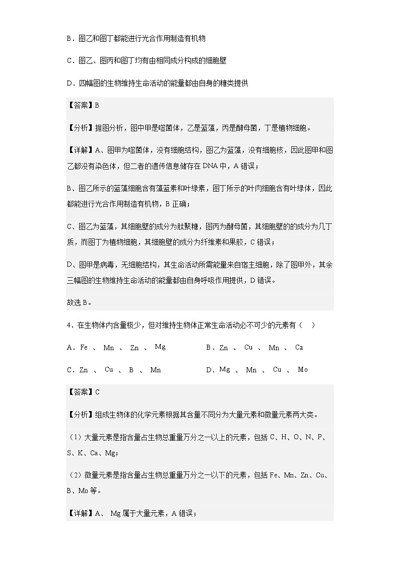 2019-2020学年天津河西区天津市新华中学高一上学期期中生物试题含解析第3页