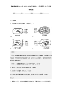 2022-2023学年河南省南阳市一中高一上学期第二次月考生物试题含解析