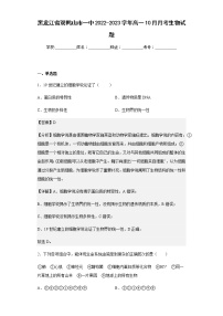 2022-2023学年黑龙江省双鸭山市一中高一10月月考生物试题含解析