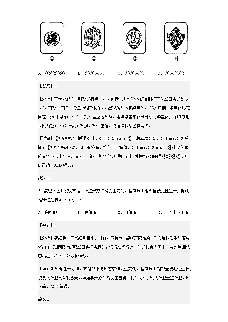 2021-2022学年陕西师范大学附中高一下学期期中生物试题含解析02