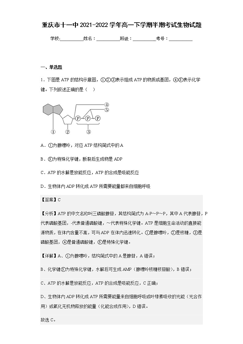 2021-2022学年重庆市十一中高一下学期半期考试生物试题含解析01