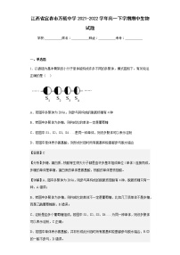 江西省宜春市万载中学2021-2022学年高一下学期期中生物试题含解析