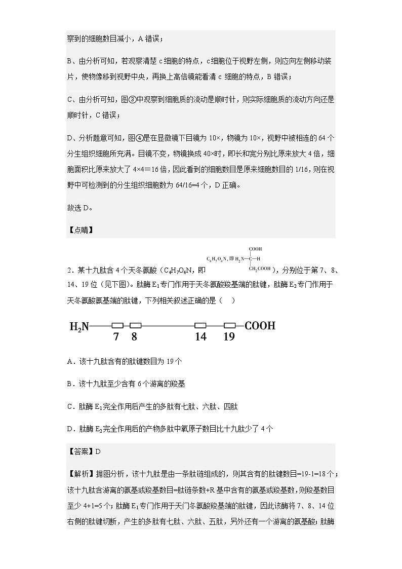 2021-2022学年江西省梧州市金溪县一中高一下学期开学考试生物试题含解析第2页