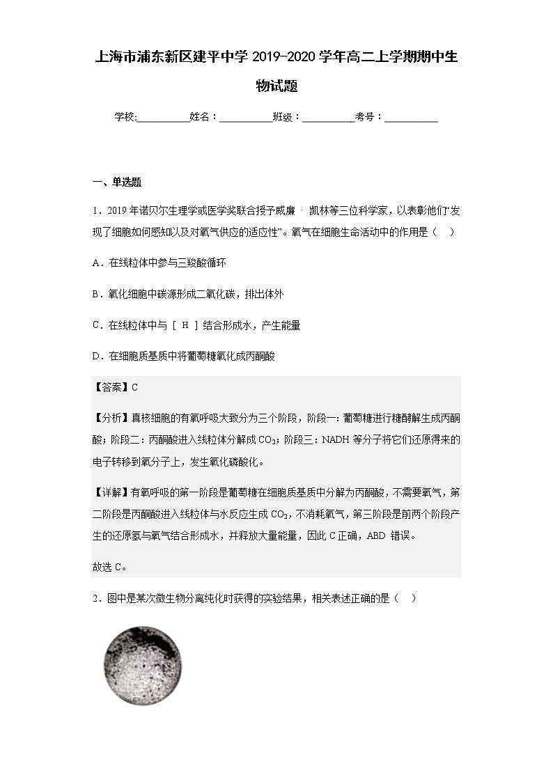 2019-2020学年上海市浦东新区建平中学高二上学期期中生物试题含解析第1页