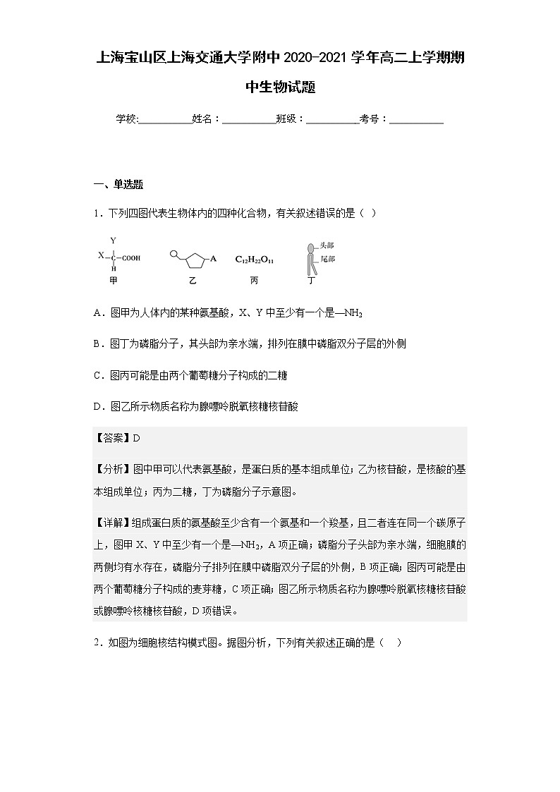 2020-2021学年上海宝山区上海交通大学附中高二上学期期中生物试题含解析01