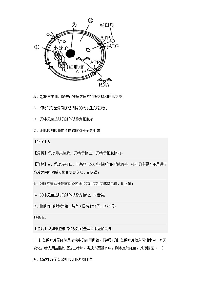 2020-2021学年上海宝山区上海交通大学附中高二上学期期中生物试题含解析02