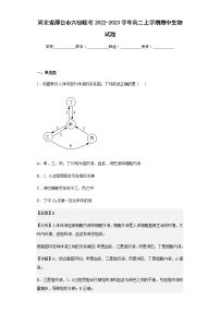 2022-2023学年河北省邢台市六校联考2022-2023学年高二上学期期中生物试题含解析