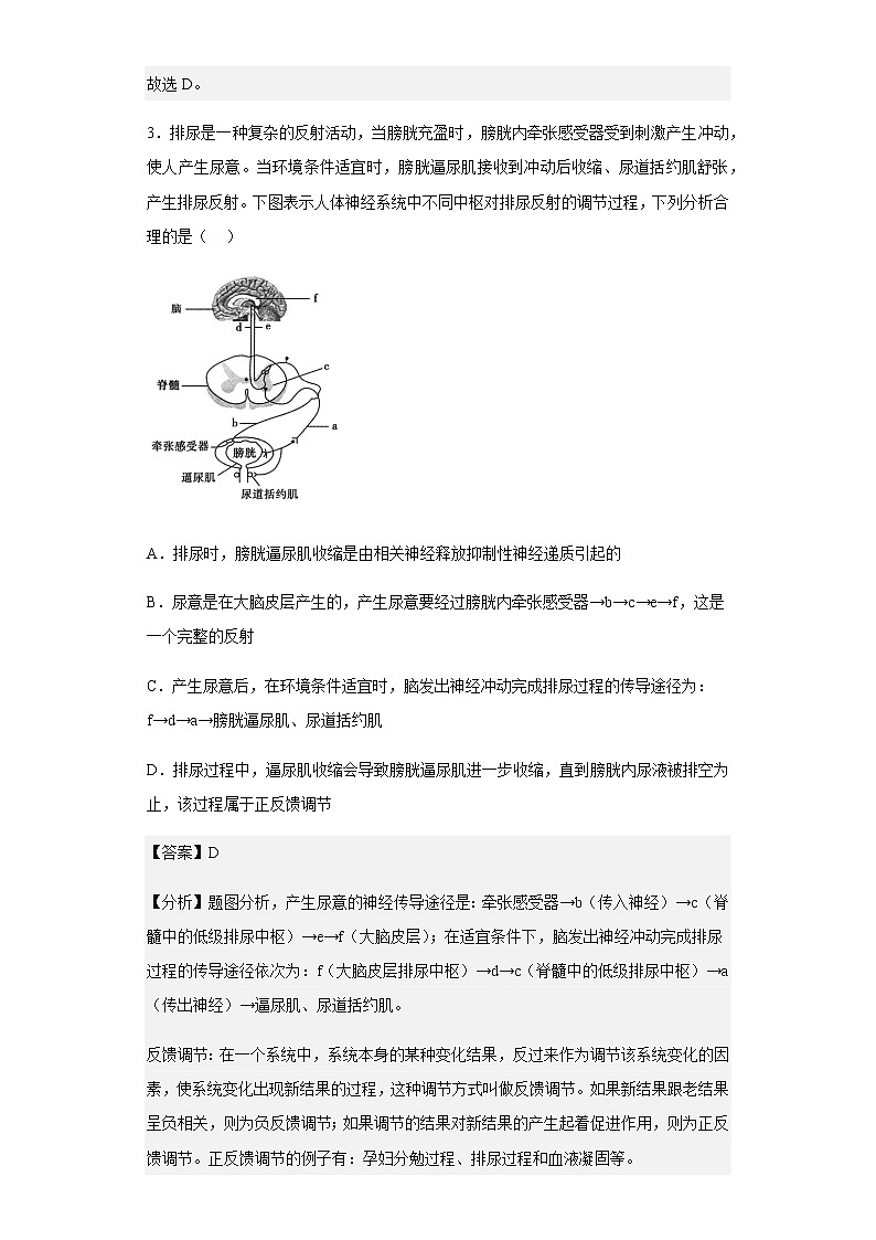 2022-2023学年河北省邢台市六校联考2022-2023学年高二上学期期中生物试题含解析第3页