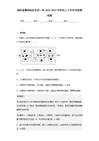 2022-2023学年湖北省黄冈市红安县一中高二9月月考生物试题含解析